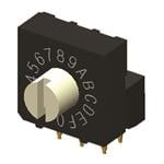 Diptronics RV3AF-10R-V-B Enlarged Image